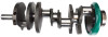Crankshaft Kit - 2010 GMC Sierra 2500 HD 6.0L Engine - 129050ZE185