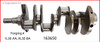 Crankshaft Kit - 2011 Ford Expedition 5.4L Engine - 163650ZE40