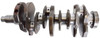 Crankshaft Kit - 2005 Nissan Maxima 3.5L Engine - 835000ZE19