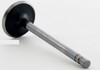 1988 Chevrolet G30 5.7L Engine Intake Valve V1078B -3465