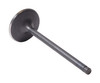 2014-2025 GM, Chevrolet 4.3L 262ci OHV V6 12V P Vortec 3.920 Bore Intake Valve V3432 -EP2