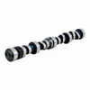 1994-2003 Stock - GM, Chevrolet 2.2L 134ci OHV L4 8V "4,5,H" Chevrolet 89.00mm Bore Camshaft ES134 -EP2