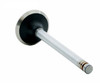 1991-2000 Mazda 4.0L 3996ci OHV V6 12V "X" Ford 100.40mm Bore Exhaust Valve V2427 -EP2