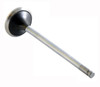 1992-1993 Acura 1.7L 1678ci DOHC L4 16V B17A1 81.00mm Bore Exhaust Valve EM2655 -EP1