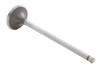 1988-1991 Honda 1.5L 1493ci SOHC L4 16V D15B1, D15B2 75.00mm Bore Intake Valve IM2452 -EP1