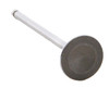 1992-1995 Honda 1.5L 1493ci SOHC L4 16V D15B7 75.00mm Bore Intake Valve IM2452 -EP2