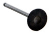 1985-1991 Toyota 1.6L 1587ci DOHC L4 16V 4AG 81.00mm Bore Intake Valve IM2458 -EP2