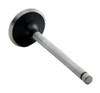 1984-1985 Toyota 2.0L 1998ci OHV L4 8V 3YEC 86.00mm Bore Intake Valve IM2464 -EP1