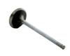 1992-1993 Acura 1.7L 1678ci DOHC L4 16V B17A1 81.00mm Bore Intake Valve IM2654 -EP1