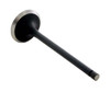 1998-2001 Suzuki 1.3L 1298ci SOHC L4 16V G13BB 74.00mm Bore Intake Valve IM2696 -EP2