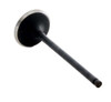 1999-2003 Lexus 3.0L 2995ci DOHC V6 24V 1MZFE 87.50mm Bore Intake Valve IM2738 -EP5