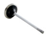 1993-1996 Honda 2.2L 2157ci DOHC L4 16V H22A1 87.00mm Bore Intake Valve IM2762 -EP1