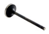 1992-1996 Honda 2.3L 2259ci DOHC L4 16V H23A1 87.00mm Bore Intake Valve IM2764 -EP1