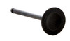 1993-2003 Mazda 2.0L 1991ci DOHC L4 16V FS Naturally Aspirated 83.00mm Bore Intake Valve IM2836 -EP3