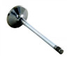 1999-2002 Daewoo 2.2L 2198ci DOHC L4 16V X22SE 86.00mm Bore Intake Valve IM4352 -EP2