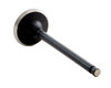 1999-2003 Mazda 1.6L 1597ci DOHC L4 16V ZM-DE 78.00mm Bore Intake Valve IM4408 -EP1