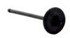 2007-2019 Nissan 1.8L 1798ci DOHC L4 16V MR18DE 84.00mm Bore Intake Valve IM4454 -EP1