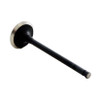 2012-2015 Honda 2.4L 2354ci DOHC L4 16V K24Y2 87.00mm Bore Intake Valve IM4478 -EP4