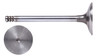 2004-2006 Volkswagen 1.9L 1896ci SOHC L4 8V BEW, BRM PD-TDI 79.50mm Bore Intake Valve IM5040 -EP2