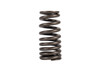 Valve Spring (Qty. 4) - Ford 6.2L 379 SOHC - Enginetech ERV1714