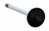 Exhaust Valve - Chrysler 2.7L 167 DOHC - Enginetech V1921B