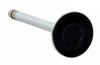 Exhaust Valve - GM Chevrolet Pontiac 151 194 215 229 230 250 262 265 - Enginetech V1923SB