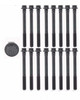 Head Bolt Set - Toyota 3.0L 1MZFE 3.3L 3MZFE DOHC 24V One Set Require - Enginetech HB155