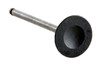 Intake Valve - Kia 1.8L 1793 DOHC 16V Fb T8 - Enginetech IM1006