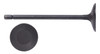 Intake Valve - Mazda 2.0L 1998 DOHC 16V Skyactiv - Enginetech IM3202