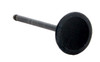 Intake Valve - Subaru 2.5L 2457 DOHC 16V Turbo - Enginetech IM4438