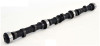 1988 American Motors Eagle 4.2L Engine Camshaft ES713 -45