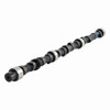 1987 Chevrolet V20 - 4.8L Engine - Camshaft - ES551 -ZE23