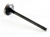 2001 Kia Rio 1.5L Engine Exhaust Valve EM1007 -1