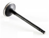 2015 Nissan NV2500 5.6L Engine Exhaust Valve EM1013 -154