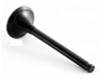 1987 Dodge Caravan 3.0L Engine Exhaust Valve EM2429 -1