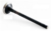 1987 Toyota Corolla 1.6L Engine Exhaust Valve EM2451 -6