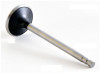 1990 Nissan Stanza 2.4L Engine Exhaust Valve EM2515 -5