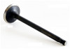 2002 Nissan Frontier 3.3L Engine Exhaust Valve EM2517 -73