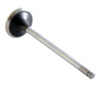 2000 Acura Integra 1.8L Engine Exhaust Valve EM2655 -18