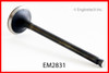 1989 Mazda 323 1.6L Engine Exhaust Valve EM2831 -2