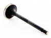 2000 Nissan Frontier 2.4L Engine Exhaust Valve EM4355 -5