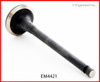 2010 Hyundai Accent 1.6L Engine Exhaust Valve EM4421 -21