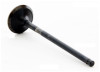 2005 Subaru Legacy 2.5L Engine Exhaust Valve EM4441 -37