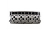Cylinder Head - 2005 Ford F-450 Super Duty 6.0L (PNEHF365-1.A6)
