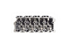 Cylinder Head - 2005 Ford F-450 Super Duty 6.0L (PNEHF365-1.A6)