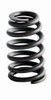 Valve Spring - 2011 Cadillac SRX 2.8L (PNERV1588.G65)