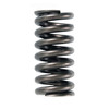 Valve Spring - 2006 Ford E-350 Super Duty 6.0L (PNERV458-32.C23)