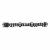 Camshaft - 1992 GMC Typhoon 4.3L (PNES1574.A2)