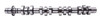 Camshaft - 2007 Lincoln Mark LT 5.4L (PNES1584.C24)