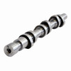 Camshaft - 2009 Dodge Ram 1500 3.7L (PNES1893.D36)